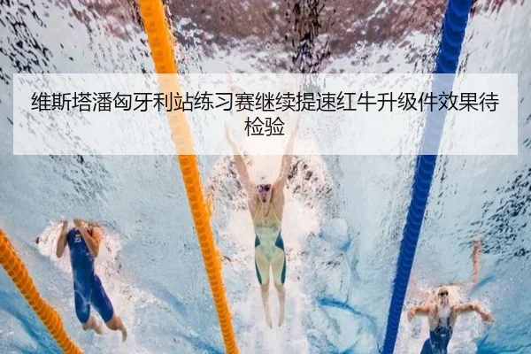 维斯塔潘匈牙利站练习赛继续提速红牛升级件效果待检验