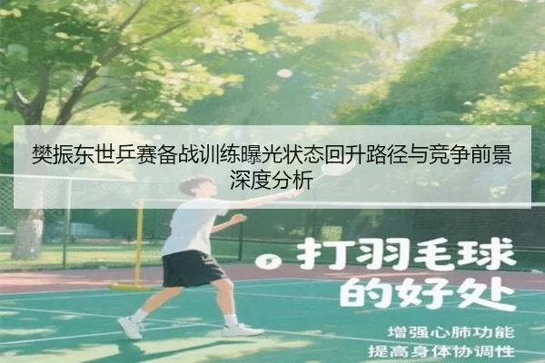 樊振东世乒赛备战训练曝光状态回升路径与竞争前景深度分析
